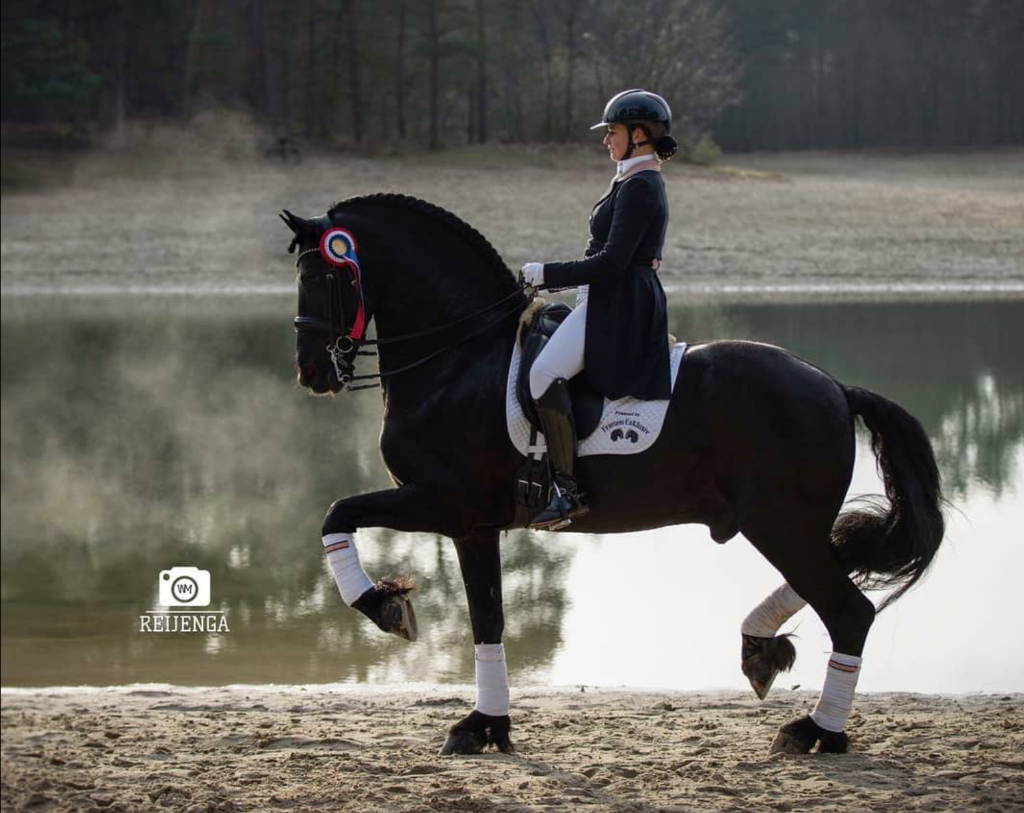 Der Friese des Jahres 2020 kommt aus Österreich: Friesen Exklusivs Wirmder! © FB: Dressage Lisanne Veenje