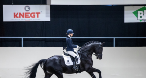 Der Titelverteidiger Kjento (Negro x Jazz) wird bei der WM der jungen Dressurpferde 2022 in Ermelo (NED) von seiner Reiterin Charlotte Fry (GBR) bei den siebenjährigen Dressurpferden vorgestellt. © Dirk Caremans