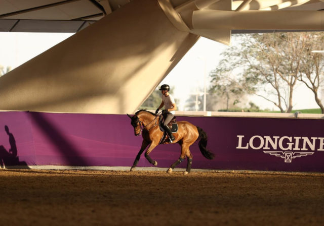 Die auf Herpes positiv getesteten Pferde in Doha wurden nach Ankunft sofort isoliert. Das Turnier kann also stattfinden! Mit dabei für das Team der Shanghai Swans: Max Kühner (AUT/T) und Elektric Blue P. © Facebook: Shanghai Swans