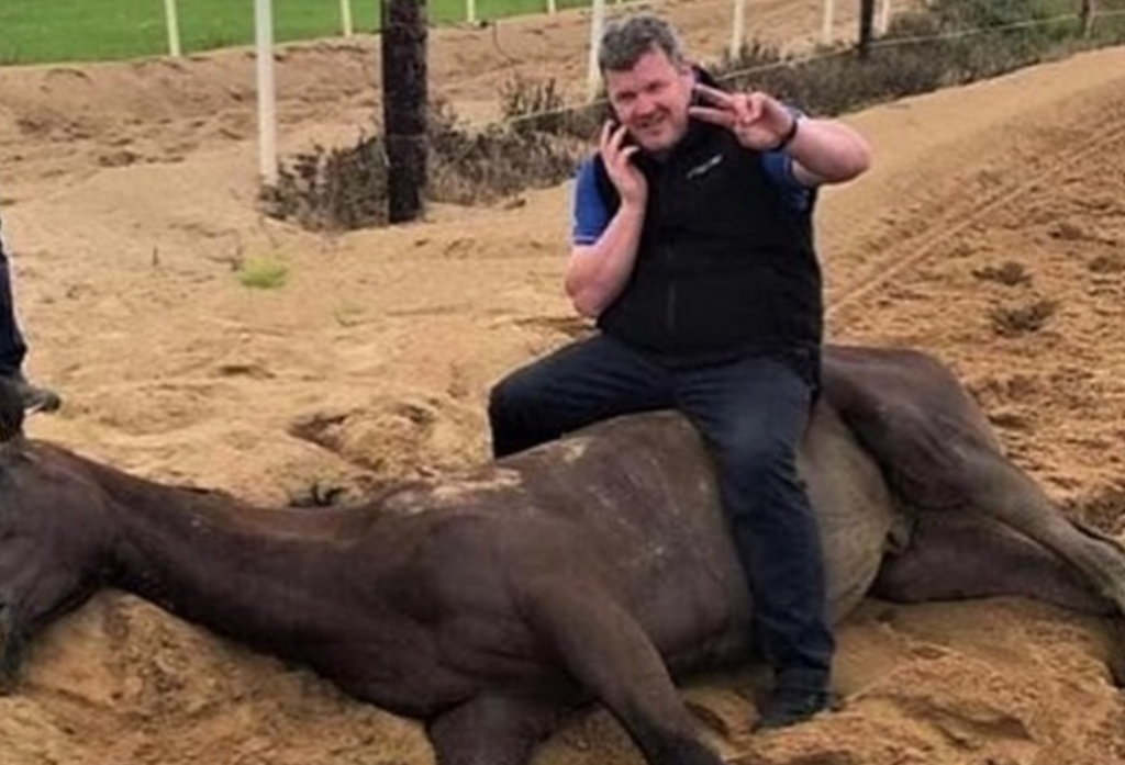 Skandal im Rennsport: Jockey und Trainer posieren auf toten Pferden