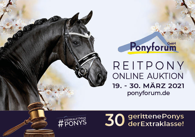 ponyforum-online.de/reitpony-onlineauktion