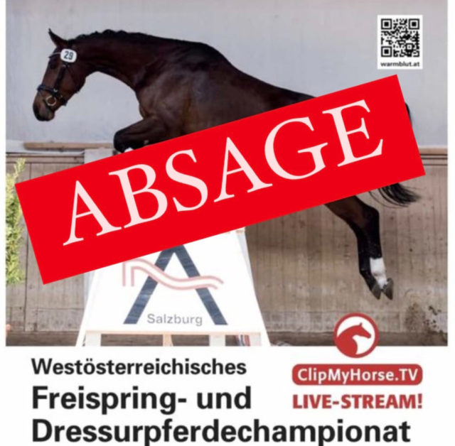 Das westösterreichische Ferispringchampionat ist abgesagt! Corona und Herpes machten eine Durchführung 2021 unmöglich. © Pferdezucht Österreich