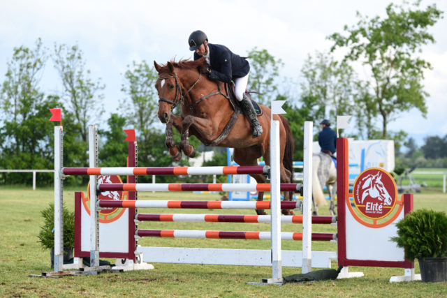 Platz 2 im BAUSEITS PB S-Springcup für Bad Fischau-Brunn-Juniorchef Michael  Rösch junior und SanoVets Paula. © HORSIC.com