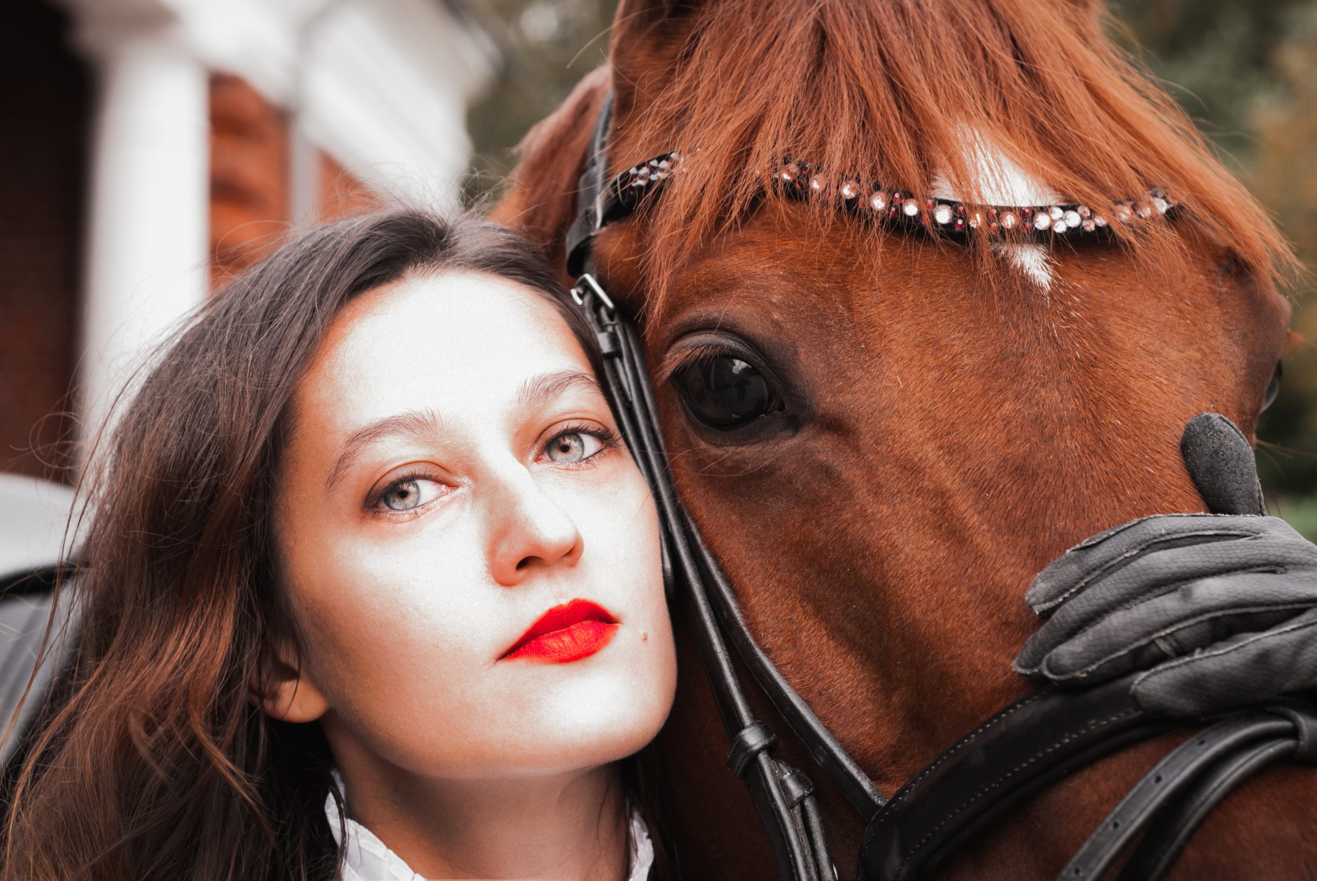 Auch im Pferdesport dreht sich vieles um Likes und Shares © lana werper | unsplash
