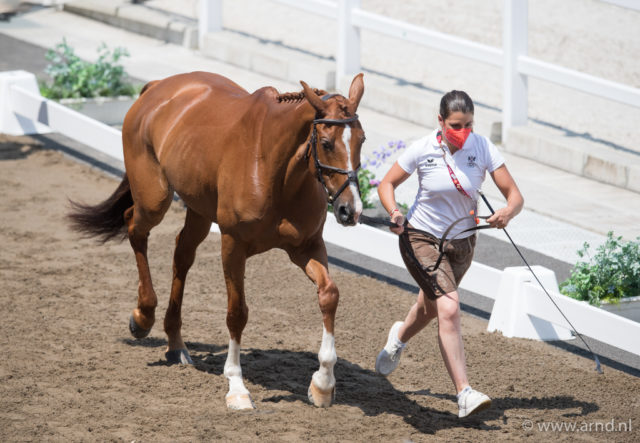 Der 1. Vet-Check bei den Olympischen Spiele haben die österreichischen Vielseitigkeitsreiterinnen hinter sich. Beide Pferde - Cosma und Fighting Line- sind "fit to compete". ©️ Arnd Bronkhorst