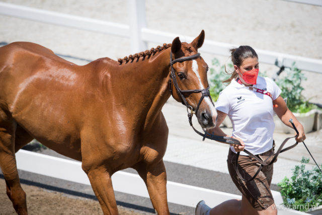 Schritt gehen, Vortraben, Kontrolle im Stehen: die Pferde werden bei den Olympischen Spielen regelmäßig auf Gesundheit und Fitness kontrolliert. Katrin Khoddam-Hazratis DSP Cosma ist fit! ©️ Arnd Bronkhorst