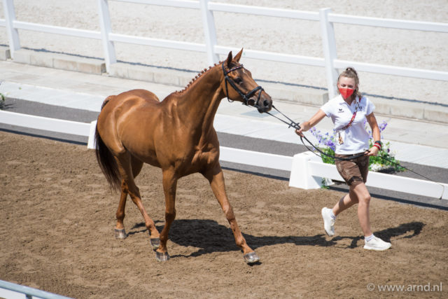 Die Vielseitigkeitspferde präsentierten sich beim Vet-Check der Olympischen Spiele deutlich entspannter als die Dressurpferde, so wie Fighting Line von Lea Siegl (AUT/OÖ). ©️ Arnd Bronkhorst