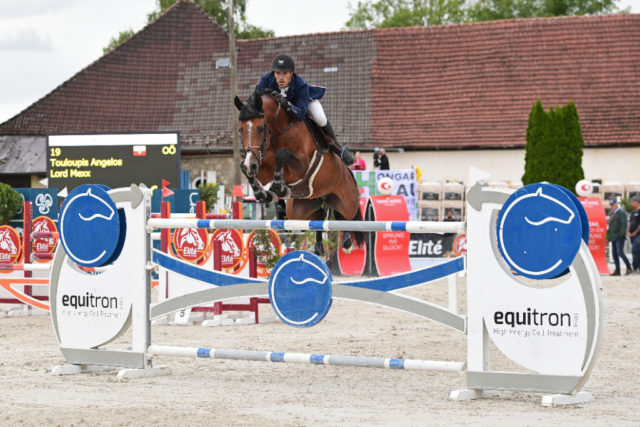 Beeindruckender Sieger bei seiner Premiere im equitron-pro Grand Prix of Austria powered by OEPS: Anglo Touloupis auf Lord Mexx. © HORSIC PHOTOGRAPHY