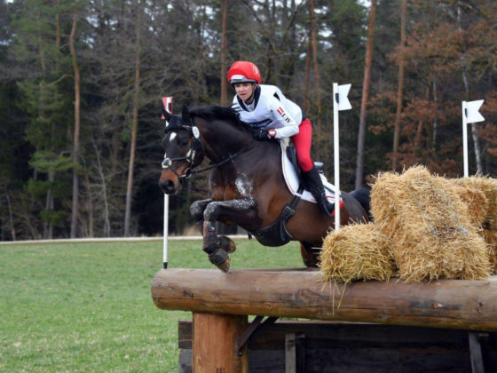 Amy Rose Frühwirth (NÖ) und Gin Tonic platzieren sich in der CCI3*-S-Prüfung von Babolna auf Rang fünf. © privat