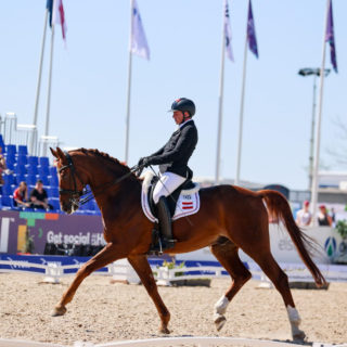 Mach's gut Lagi! Bernd Brugger (NÖ) verabschiedet sein Championatspferd Bellagio mit 19 Jahren in den Ruhstand. © EQWO.net/ Petra Kerschbaum