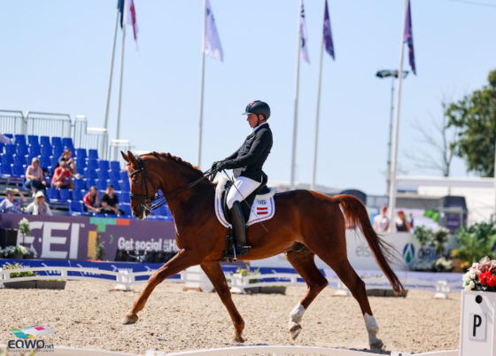 Mach's gut Lagi! Bernd Brugger (NÖ) verabschiedet sein Championatspferd Bellagio mit 19 Jahren in den Ruhstand. © EQWO.net/ Petra Kerschbaum