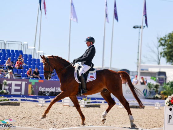 Mach's gut Lagi! Bernd Brugger (NÖ) verabschiedet sein Championatspferd Bellagio mit 19 Jahren in den Ruhstand. © EQWO.net/ Petra Kerschbaum