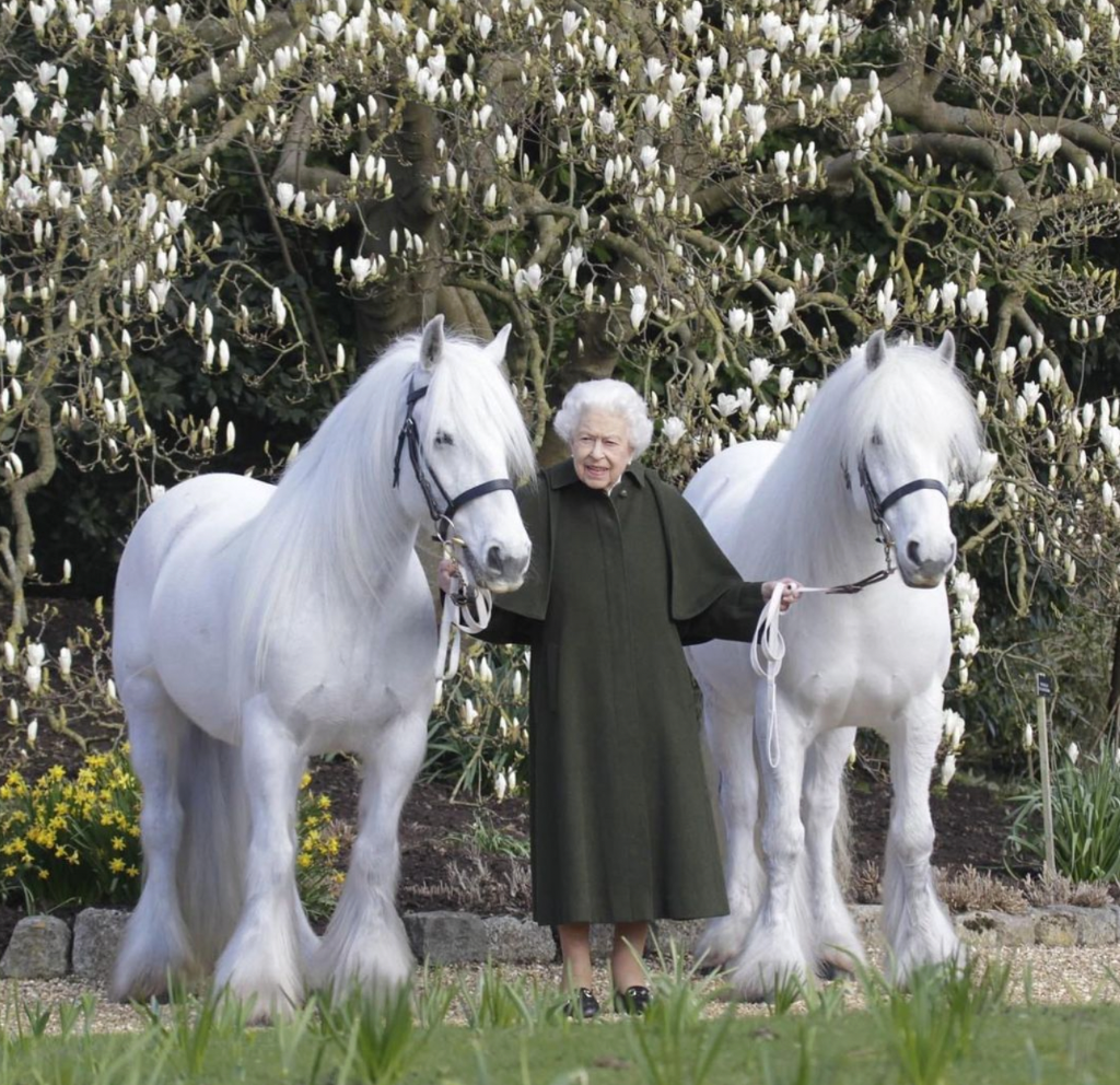 Die Queen wird 96! Elisabeth II. ist Zeit ihres Lebens eine richtige Pferdefrau und ist damit aus unserer Reihe "Promis im Pferdesattel" nicht wegzudenken! © henrydallalphotography.com