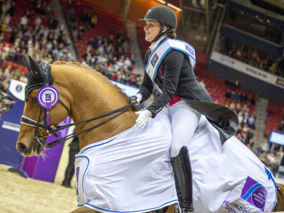 Cathrine Dufours Cassidy kehrt nach Herning zurück! Er vertritt Boxennachbarin Freestyle bei den Siegerehrungen. © Arnd Bronkhorst