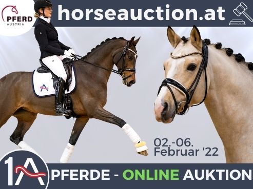 Die AWÖ-Auktion kann nun doch nur Online stattfinden. © AWÖ/ Stadl-Paura