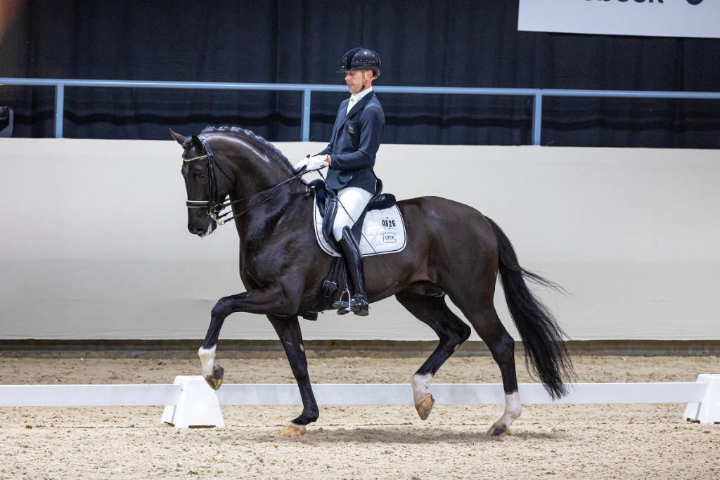KWPN Stallion Show Finals in Ermelo: GLOCK's Taminiau siegte unter Hans Peter Minderhoud (NED) in der Prüfung für siebenjährige Hengste! © Digishots