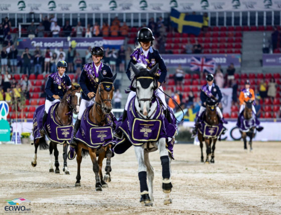 Die FEI hat mit der Signity Group kooperiert und will während der WM in Aachen Online-Missbrauch überwachen und regulieren. © EQWO.net | Petra Kerschbaum