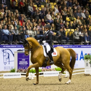 Topfit! Cathrine Dufour (DEN) und Atterupgaards Cassidy tanzten in Herning zum Weltcup-Sieg vor Carina Cassoe Krueth und Dinja van Liere. © FEI / Leanjo de Koster