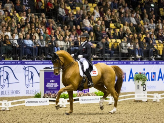 Topfit! Cathrine Dufour (DEN) und Atterupgaards Cassidy tanzten in Herning zum Weltcup-Sieg vor Carina Cassoe Krueth und Dinja van Liere. © FEI / Leanjo de Koster