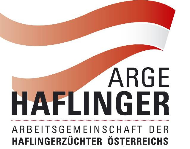 Die Haflingerkörung findet am 4.2.2022 in Stadl-Paura statt. © ARGE Haflinger