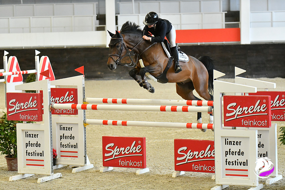 Top bei den Junioren! Die Oberösterreicherin Maxima Schweiger sicherte sich beim Linzer Pferdefestival mehrere top Resultate. © TEAM myrtill