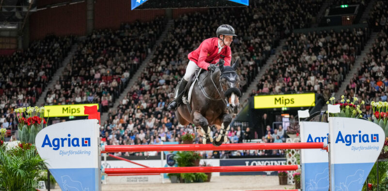 Der Schweizer Pferdesportverband hat Pius Schwizer (SUI) mit sofortiger Wirkung vom Springkader suspendiert. © FEI | Kim C Lundin