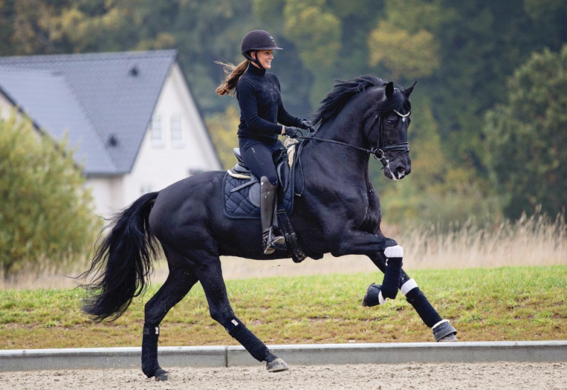 Die zweifache Vizeweltmeisterin hat ein neues Pferd unter dem Sattel: Den fünfjährigen DWB-Siegerhengst Iron v. Asgard's Ibiza x Hohenstein. © FB: Cathrine Dufour