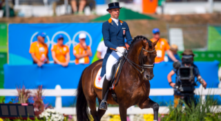 Der KWPN-Hengst GLOCK's Johnson TN nahm unter Hans Peter Minderhoud (NED) selbst an Olympischen Spielen teil und punktet durch seine zahlreichen Nachkommen im Dressursport. © Arnd Bronkhorst
