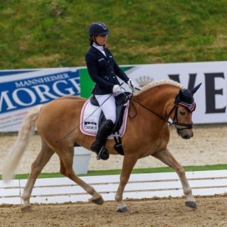 Michaela Ferringer (OÖ) kürte sich im Sattel ihres Haflinger-Wallachs Stockholm zur Österreichischen Meisterin der Paradressur. © www.sportfotos-lafrentz.de/Stefan Lafrentz