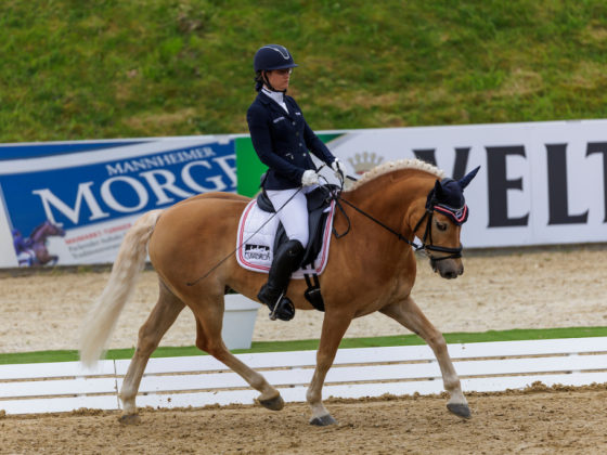 Michaela Ferringer (OÖ) kürte sich im Sattel ihres Haflinger-Wallachs Stockholm zur Österreichischen Meisterin der Paradressur. © www.sportfotos-lafrentz.de/Stefan Lafrentz