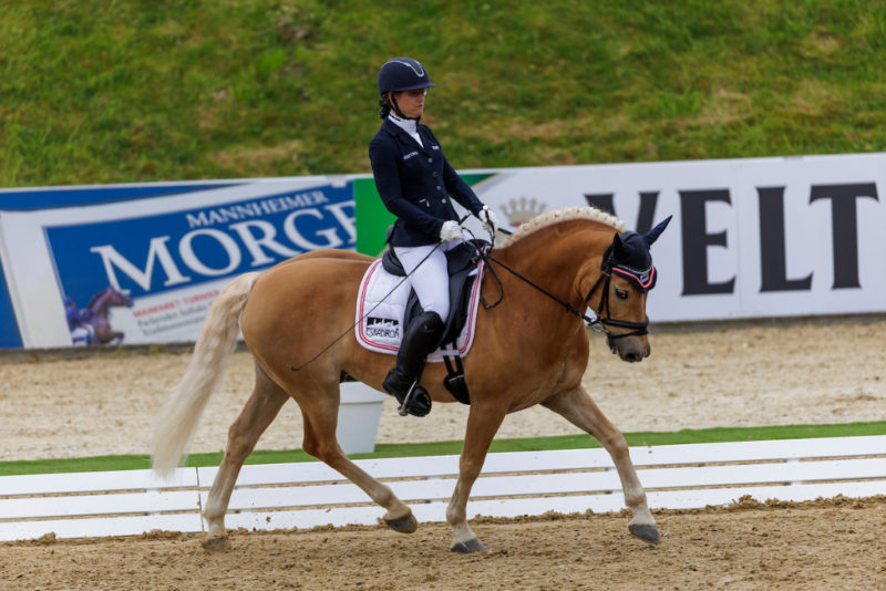 Michaela Ferringer (OÖ) kürte sich im Sattel ihres Haflinger-Wallachs Stockholm zur Österreichischen Meisterin der Paradressur. © www.sportfotos-lafrentz.de/Stefan Lafrentz