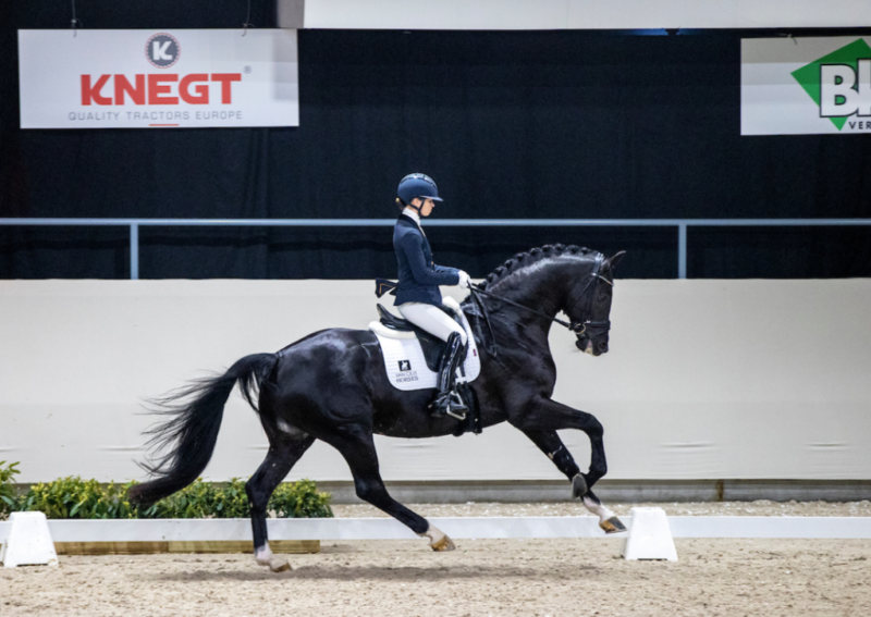 Der Titelverteidiger Kjento (Negro x Jazz) wird bei der WM der jungen Dressurpferde 2022 in Ermelo (NED) von seiner Reiterin Charlotte Fry (GBR) bei den siebenjährigen Dressurpferden vorgestellt. © Dirk Caremans