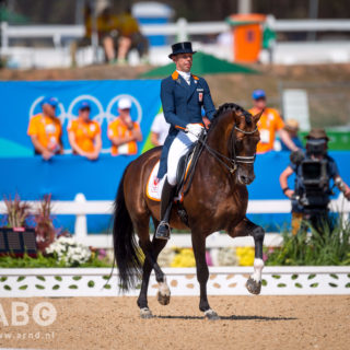 Der KWPN-Hengst GLOCK's Johnson TN nahm unter Hans Peter Minderhoud (NED) selbst an Olympischen Spielen teil und punktet durch seine zahlreichen Nachkommen im Dressursport. © Arnd Bronkhorst