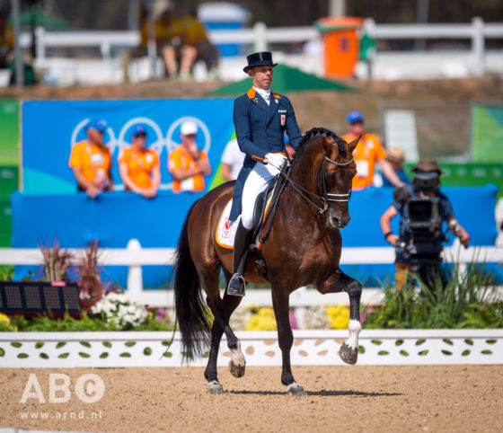 Der KWPN-Hengst GLOCK's Johnson TN nahm unter Hans Peter Minderhoud (NED) selbst an Olympischen Spielen teil und punktet durch seine zahlreichen Nachkommen im Dressursport. © Arnd Bronkhorst