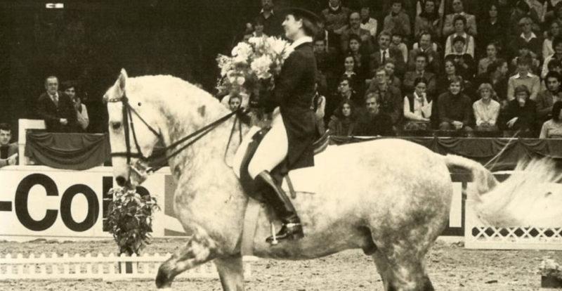 Mon Cherie (More Magic x Agram) ist bis heute das einzige Pferd, das für Österreich eine Goldmedaille bei Olympischen Spielen gewinnen konnte. © FB: Gestüt Vorwerk