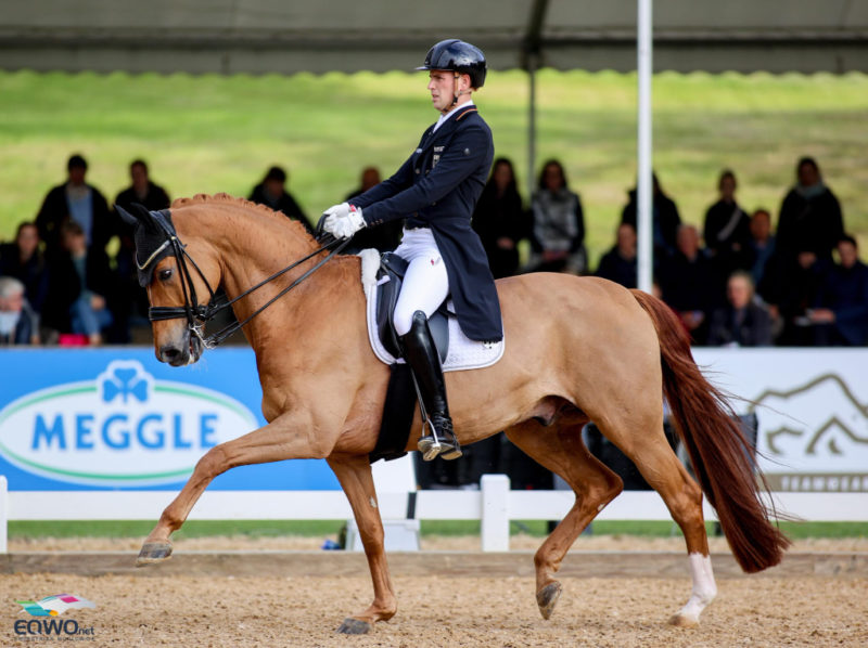 Frederic Wandres (GER) verabschiedet seinen langjährigen Sportpartner Duke of Britain FRH aus dem Sport. © EQWO.net/ Petra Kerschbaum