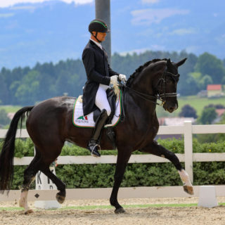 Peter Gmoser ist Österreichischer Staatsmeister 2024! © EQWO.net/ Petra Kerschbaum