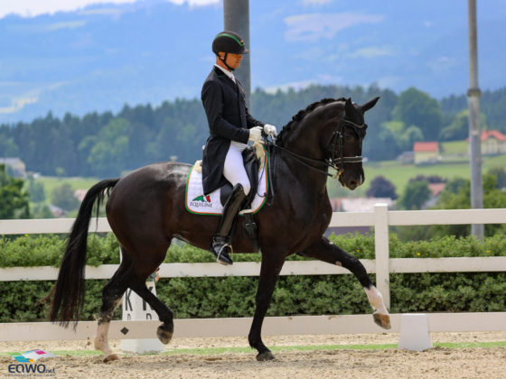 Peter Gmoser ist Österreichischer Staatsmeister 2024! © EQWO.net/ Petra Kerschbaum