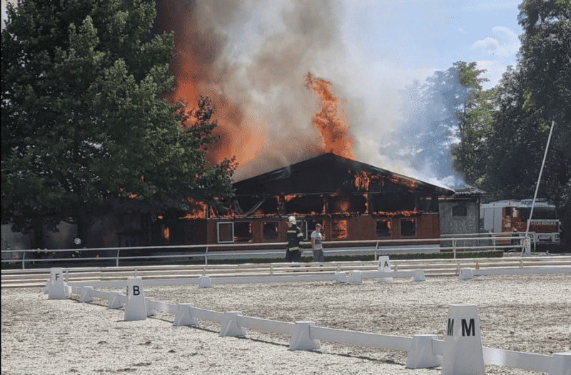 In Lassee konnten bei einem Vollbrand alle 30 Pferde und das Wohnhaus vor den Flammen gerettet werden. © FB: Freiwillige Feuerwehr Lassee