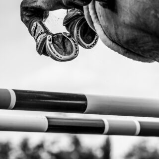 Traurige Nachrichten aus England: Die britische Vielseitigkeits-Reiterin Georgie Campbell (GBR) verunglückte bei den Bicton Horse Trials tödlich. © Adobe Stock