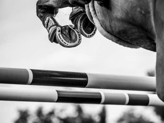 Traurige Nachrichten aus England: Die britische Vielseitigkeits-Reiterin Georgie Campbell (GBR) verunglückte bei den Bicton Horse Trials tödlich. © Adobe Stock