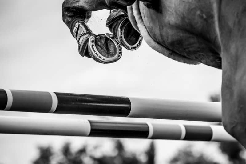 Traurige Nachrichten aus England: Die britische Vielseitigkeits-Reiterin Georgie Campbell (GBR) verunglückte bei den Bicton Horse Trials tödlich. © Adobe Stock