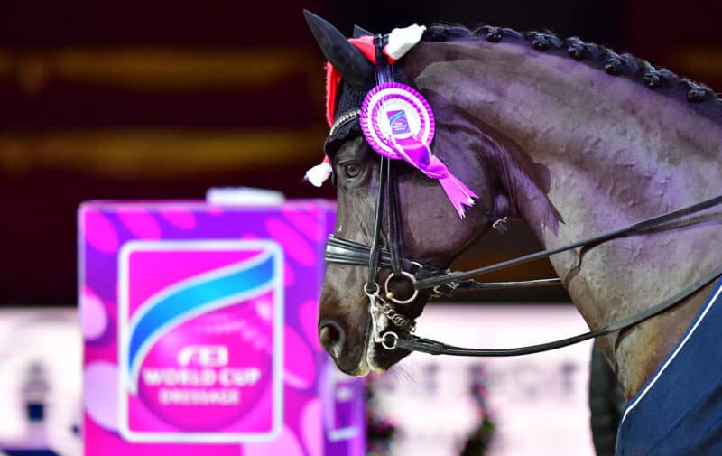 Ende gut, alles gut: Die Amadeus Horse Indoors 2023 ist fixiert, die Weltcup-Bewerbungen für die kommenden Jahre abgeschickt. © Daniel Kaiser