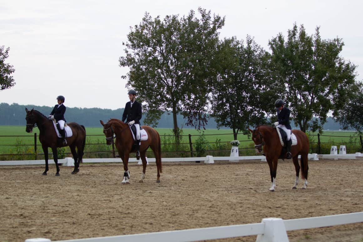 Alexander Wokaun (NÖ), Julia Loos (NÖ) und Nortje Weise (GER) zeigten beim SRNC in den Niederlanden eine harmonische Mannschaftsdressur auf den zugelosten Pferden. © Tijn Bovendeur