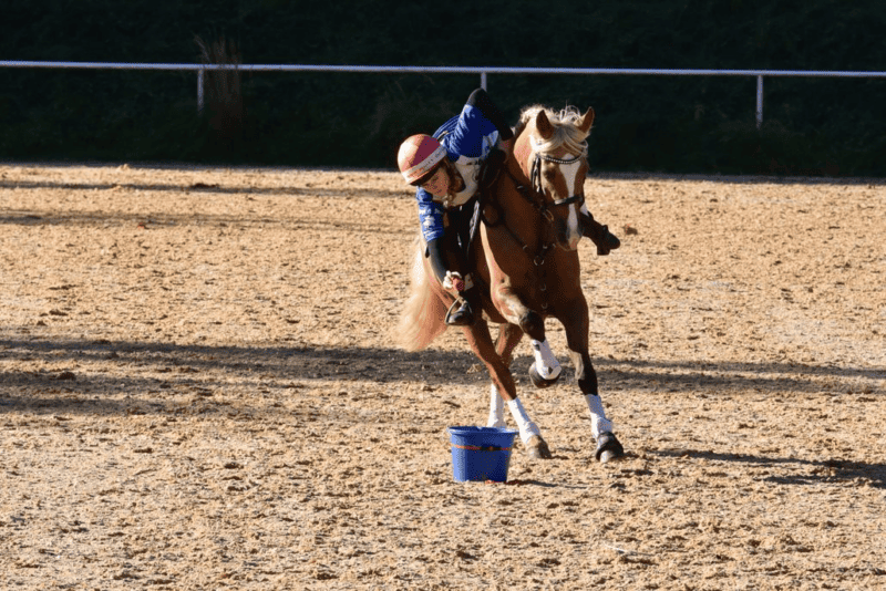 Von 28. bis 29. Oktober 2023 fand im Pferdezentrum Stadl Paura der Saison-Abschluss der Mounted Games-Reiter:innen statt. © Verena Montgomery