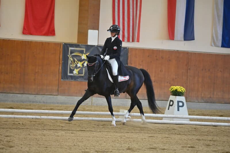 Selina Staufer (NÖ) und ihr Deutscher Pony-Wallach Pearcy Jackson gewannen 2023 den Österreichischen Dressur-Meistertitel in der Altersklasse Pony. © privat