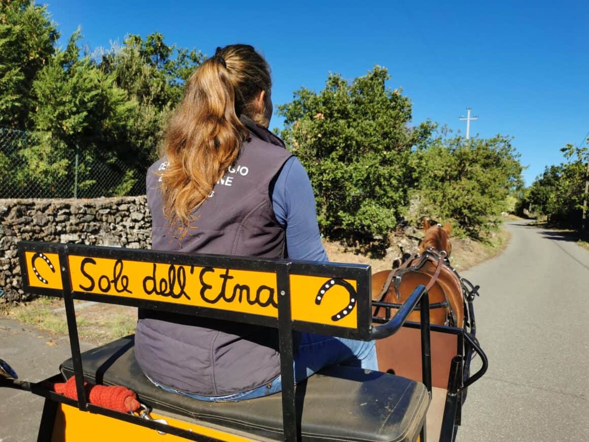 Die Reitschule "Sole dell'Etna" bietet pferdebegeisterten Urlauber:innen ein breites Angebot. © privat