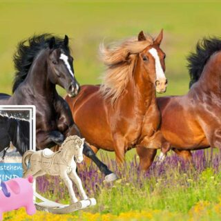 Wir haben euch die besten Geschenkideen für Pferdemenschen zusammengestellt. © Adobe Stock