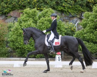 Simone Pearce (AUS) muss sich kurz nach ihrem CDI4*-Comeback einer Hand-Operation unterziehen. © EQWO.net | Petra Kerschbaum