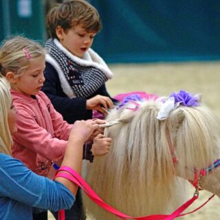 Euer Kind träumt von einem Pferde-Geburtstagsfest? Dann seid ihr hier genau richtig, denn wir haben die wichtigsten Must-haves für euch! © salzburg-cityguide